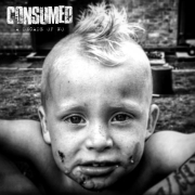 Review: Consumed - A Decade Of No